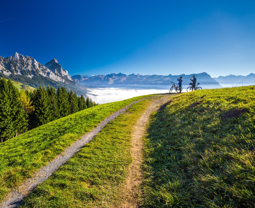 rigi mountain bike tour